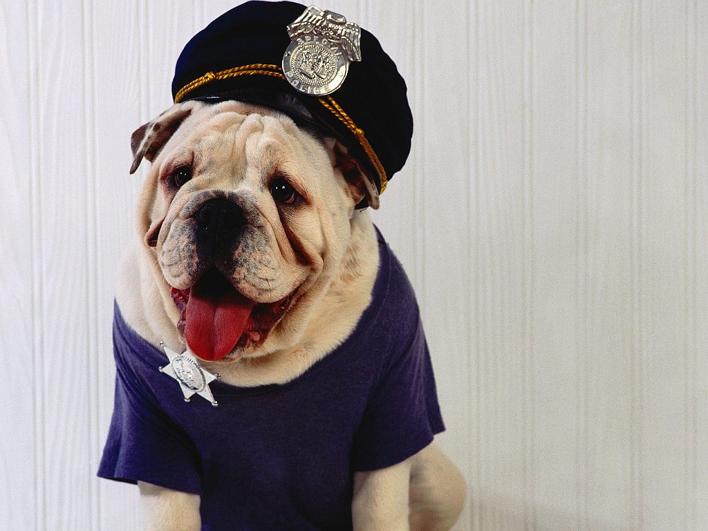 Upholding the Law